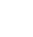 Vector